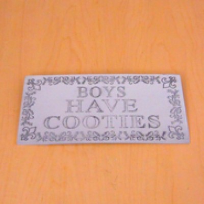 23779 - WALL PLAQUE - BOYS HAVE COOTIES