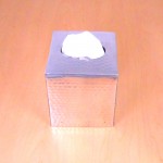 3445 -SILVER SQUARE TISSUE BOX ( HAMMERED )