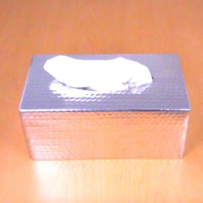 3446 -SILVER RECT. TISSUE BOX ( HAMMERED )
