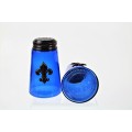 600020COP-BLUE - 2PC. SALT-PEPPER SHAKER BLUE(COP)