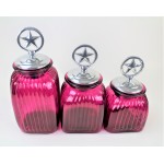 60004 HOT PINK 3PC. CANISTER SET WITH LIDS